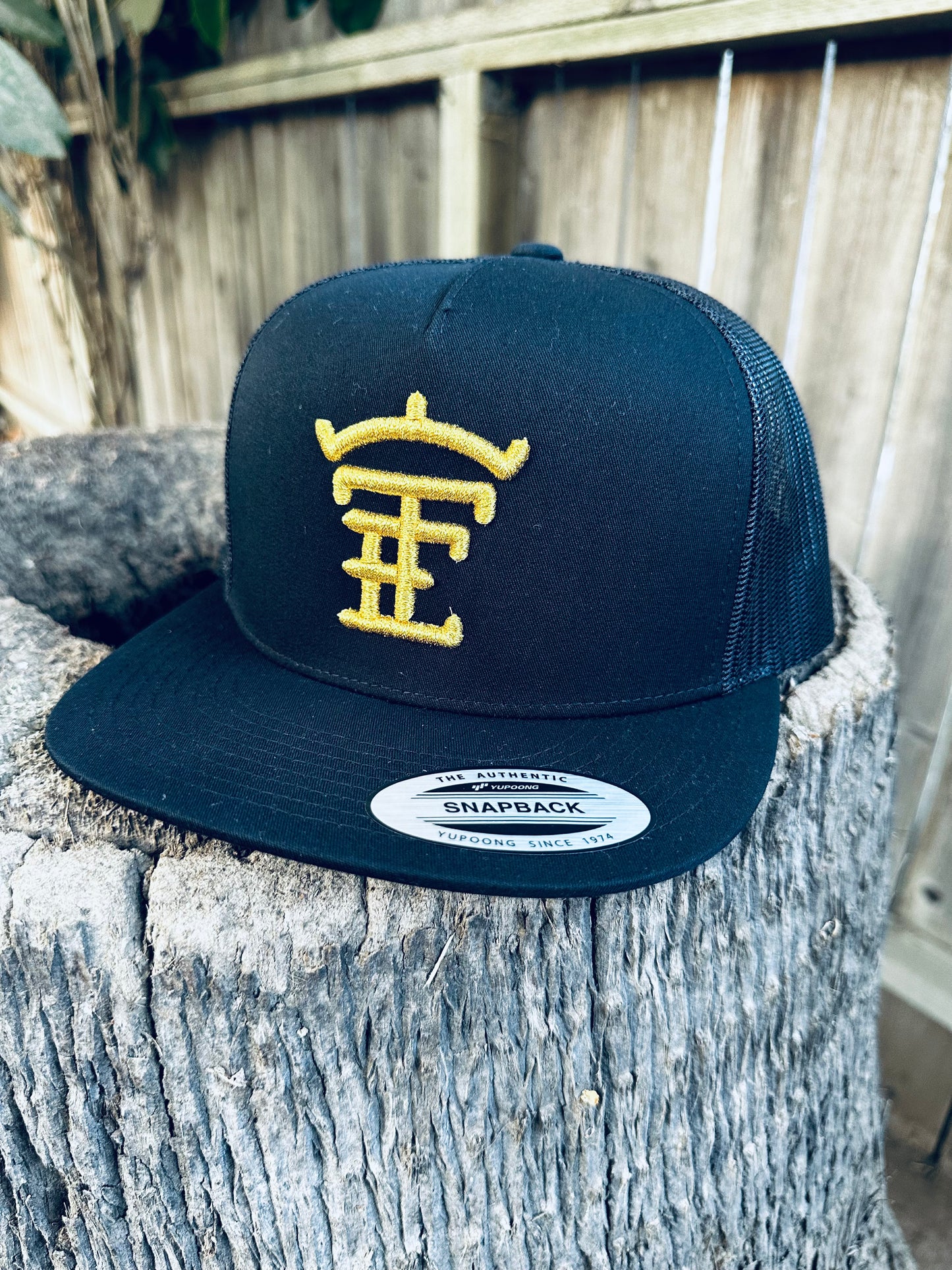 Black and Gold TE Hat